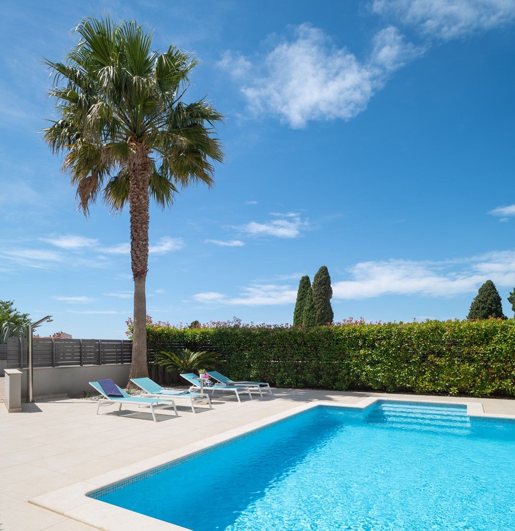 A swimming pool with lounge chairs and a palm tree.