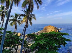 Uklassifisert bilde, 3 av 6, knapp