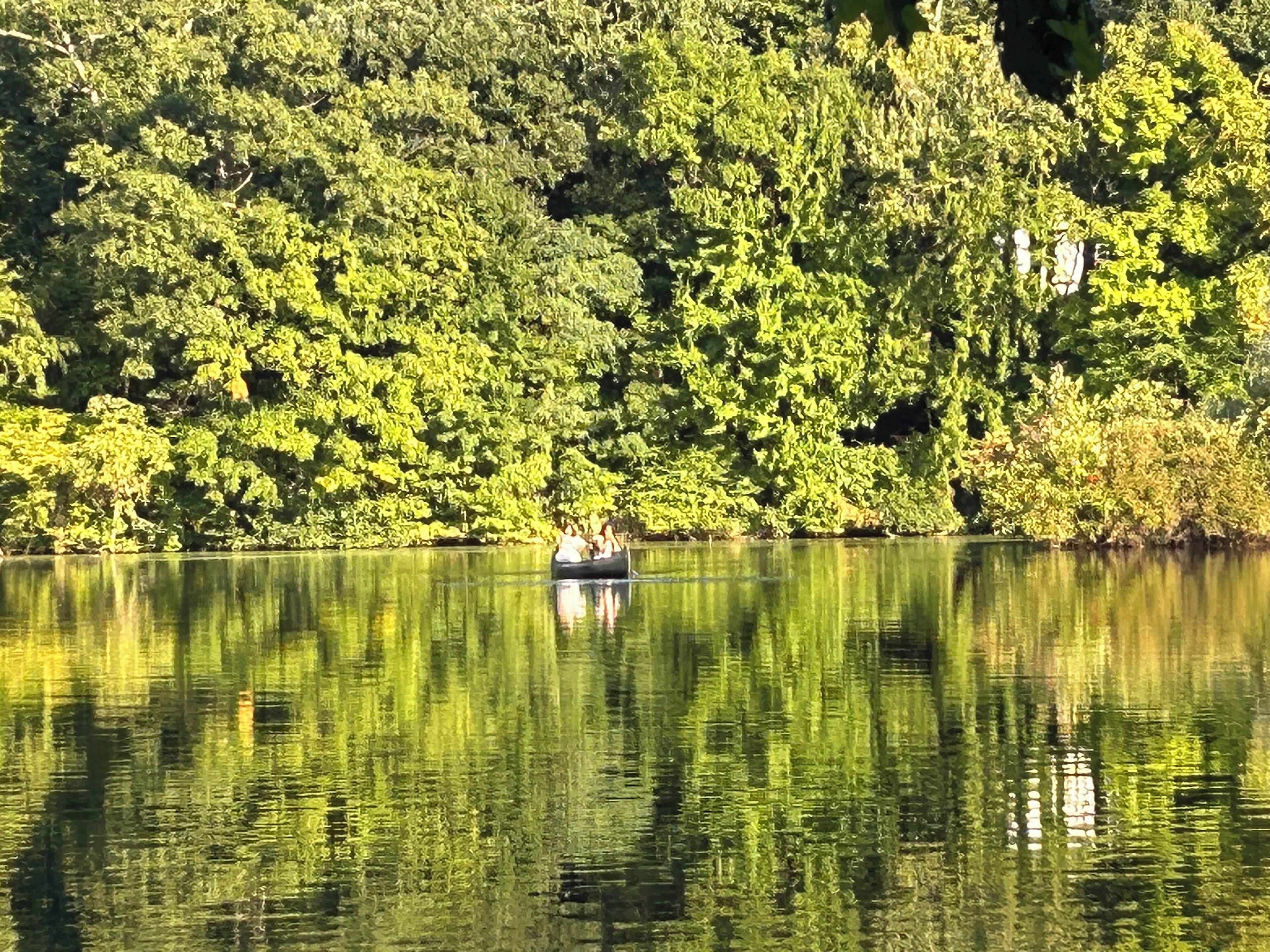 Un lago tranquilo con un bote llevando gente, rodeado de árboles verdes y frondosos.