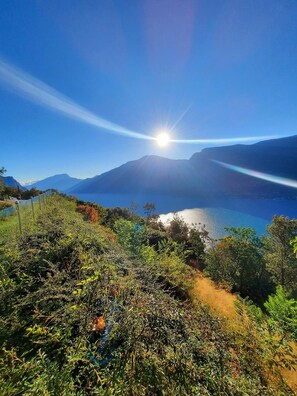 Miscellaneous - Cozy apartment with garden and whirlpool in Tremosine. Pet friendly! (Tremosine sul Garda)