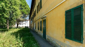 Un callejón estrecho con un edificio amarillo, persianas verdes y un árbol a la izquierda.