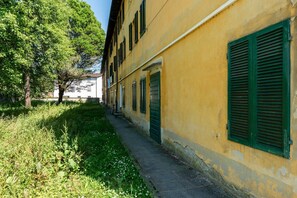 A narrow alleyway with a yellow building, green shutters, and a tree on the left. - LUCCA COMICS HOUSE (Lucca)