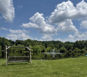 Un banc situé dans un espace verdoyant, près d’un lac, avec une structure en bois au-dessus et une forêt en arrière-plan.
