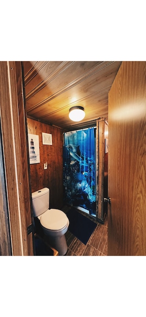 Shower, towels, soap, toilet paper