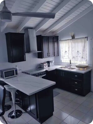 Microondas, horno y placa de cocina