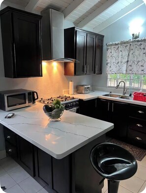 A compact kitchen with dark cabinetry, a white countertop, a microwave, a toaster, a gas stove, and a sink.