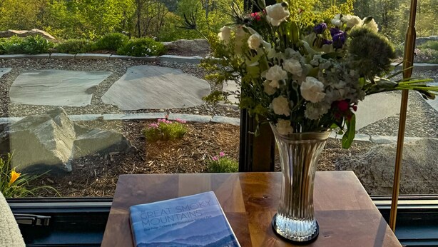 Uitzicht op bergen door een raam, een bloemenvaas en een boek op een tafel.