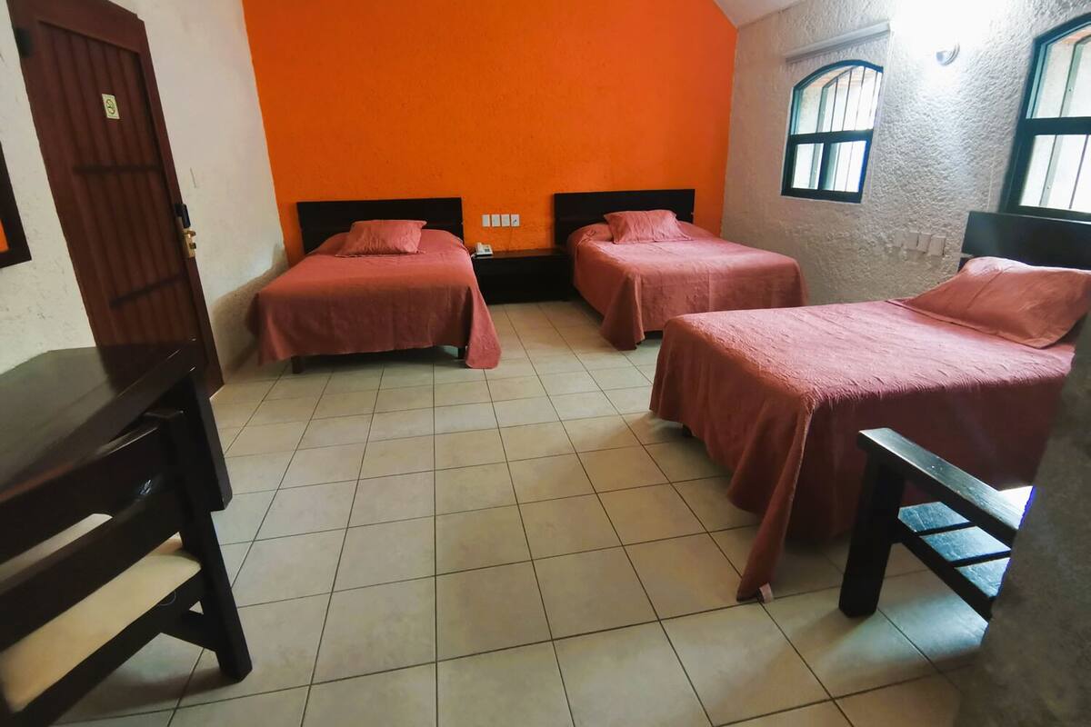 Chambre quadruple supérieure, terrasse | Accès au Wi-Fi (inclus), literie fournie