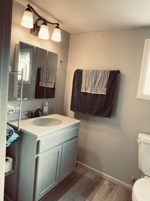 Hair dryer, towels, soap, toilet paper