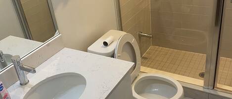 Regadera, toallas, jabón, papel de baño