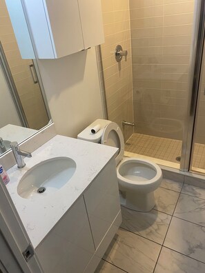Shower, towels, soap, toilet paper