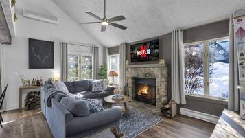 Télévision, cheminée, jeux vidéo, lecteur de DVD