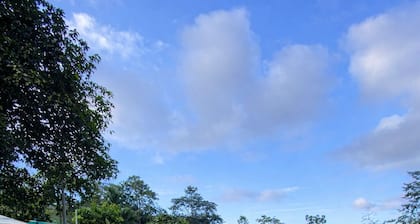 Jungle cabin with pool and trails A peaceful mountain retreat.