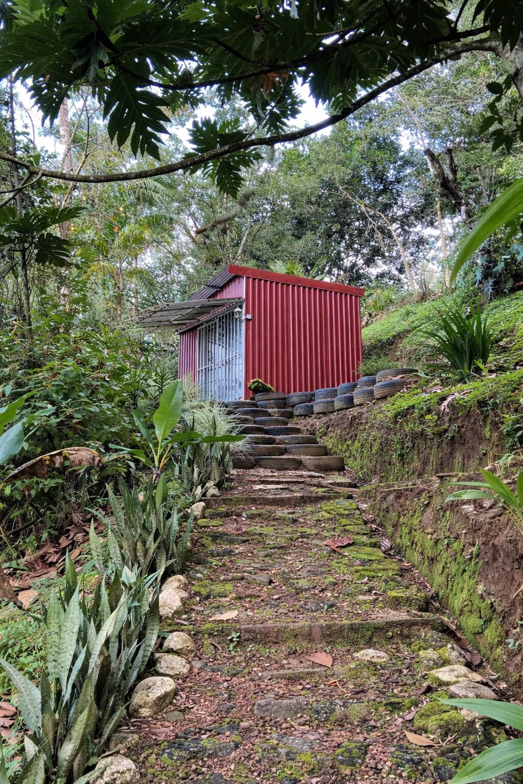 Áreas de la propiedad