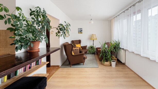 Un salon avec un canapé marron, une table basse, une bibliothèque et plusieurs plantes en pot.