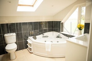 Hair dryer - The Old Stone Cottage 3 bedroom home (County Kerry)