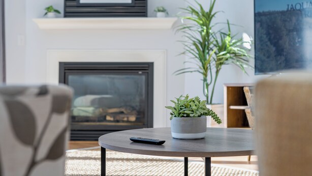 Un salon avec une cheminée, une plante en pot, une télécommande et un téléviseur.