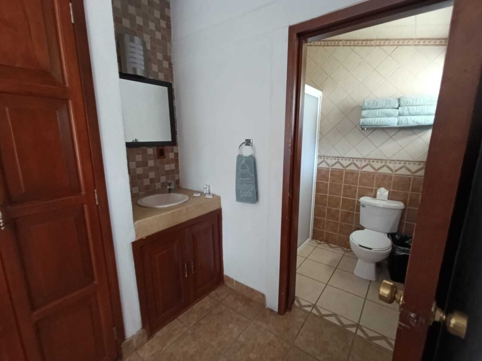 Une salle de bain avec un lavabo, un miroir et des toilettes.