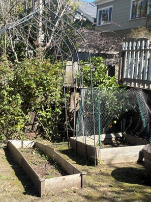 Property grounds - Charming Garden Cottage in Glenview – Walk to Cafés (Oakland)
