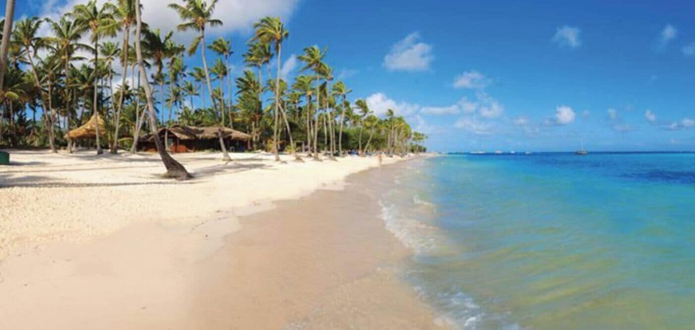 A beach with palm trees and a hut.