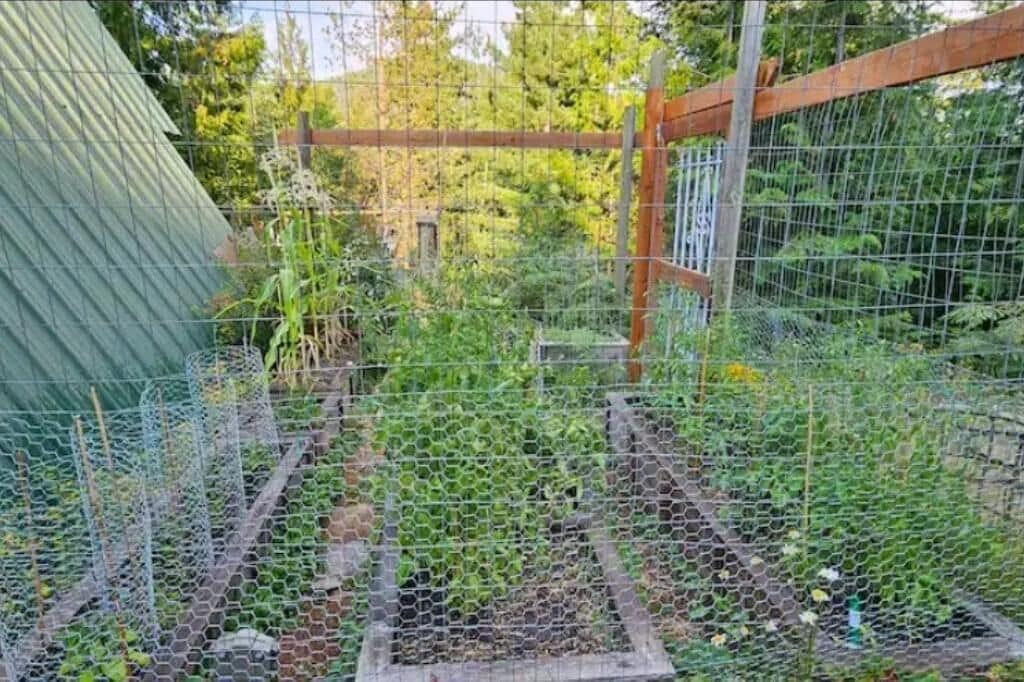 Overnatningsstedets område