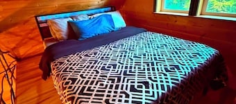Cozy family cabin tucked away under the cedars!!!