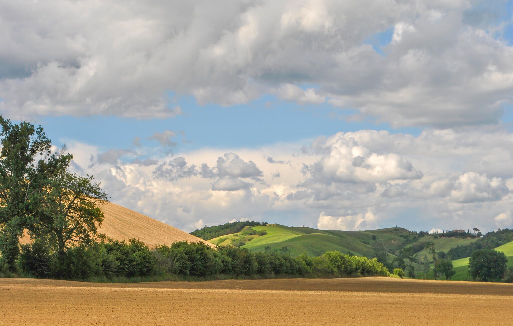 Un paysage rural avec des collines douces, un ciel dégagé et un arbre au premier plan.