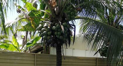 Lovely 1-bedroom cabin with AC in perfect Parrita close to Manuel Antonio beach