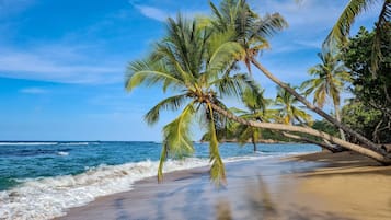 Serviettes de plage