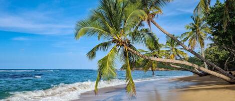 Toallas de playa