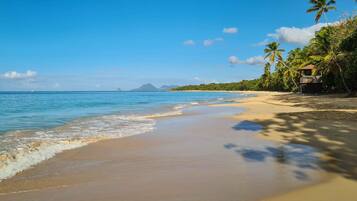 Serviettes de plage