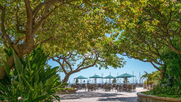 An outdoor seating area with tables and chairs under a canopy of trees, overlooking a body of water. - @ Marbella Lane - Cozy 2BR w/ Amazing Ocean Views (Honolulu)