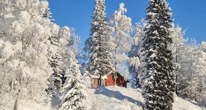 Beautiful home in Skollenborg