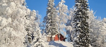 Beautiful home in Skollenborg