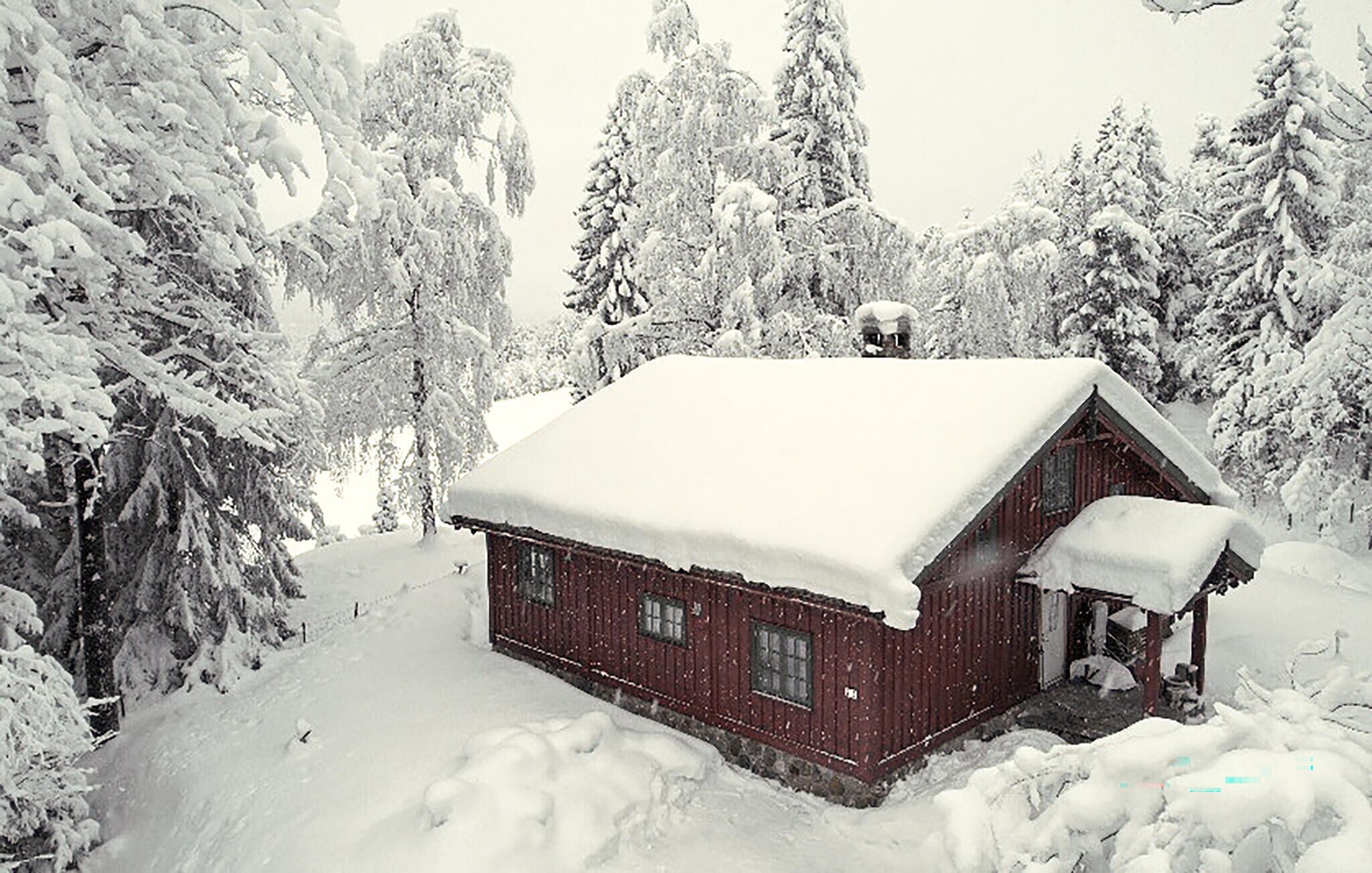 Une cabane enneigée, avec un toit en pente, entourée d’épais conifères.