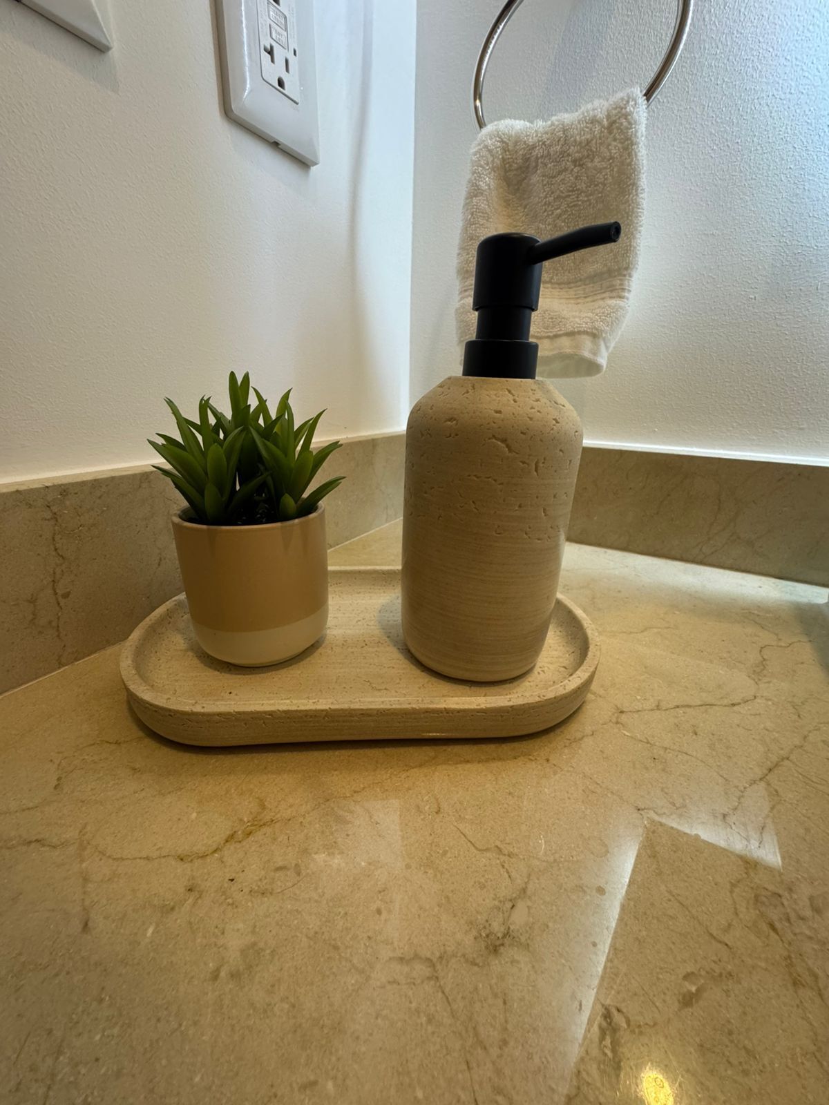 Ein Badezimmer-Waschtisch mit Blumentopf, Seifenspender und einem Handtuch an einem Ring.