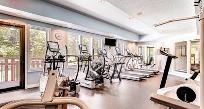 Sunrise Northstar B1 - Bear View