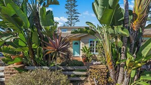 A house surrounded by lush tropical plants, including banana trees and a palm tree. - 5051 Shore Drive (Carlsbad)