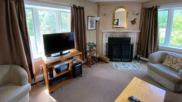 A living room with a television, fireplace, and two sofas. - Pico Village Resort D209 (Killington)