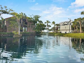 Interior - Sandy Cove (Siesta Key)