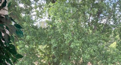 Hidden Haven by WT Golf Peaceful 2BR Condo