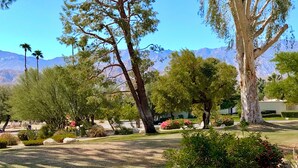 Un jardin aménagé avec différentes espèces d’arbres et d’arbustes, offrant une vue dégagée sur les montagnes en arrière-plan.