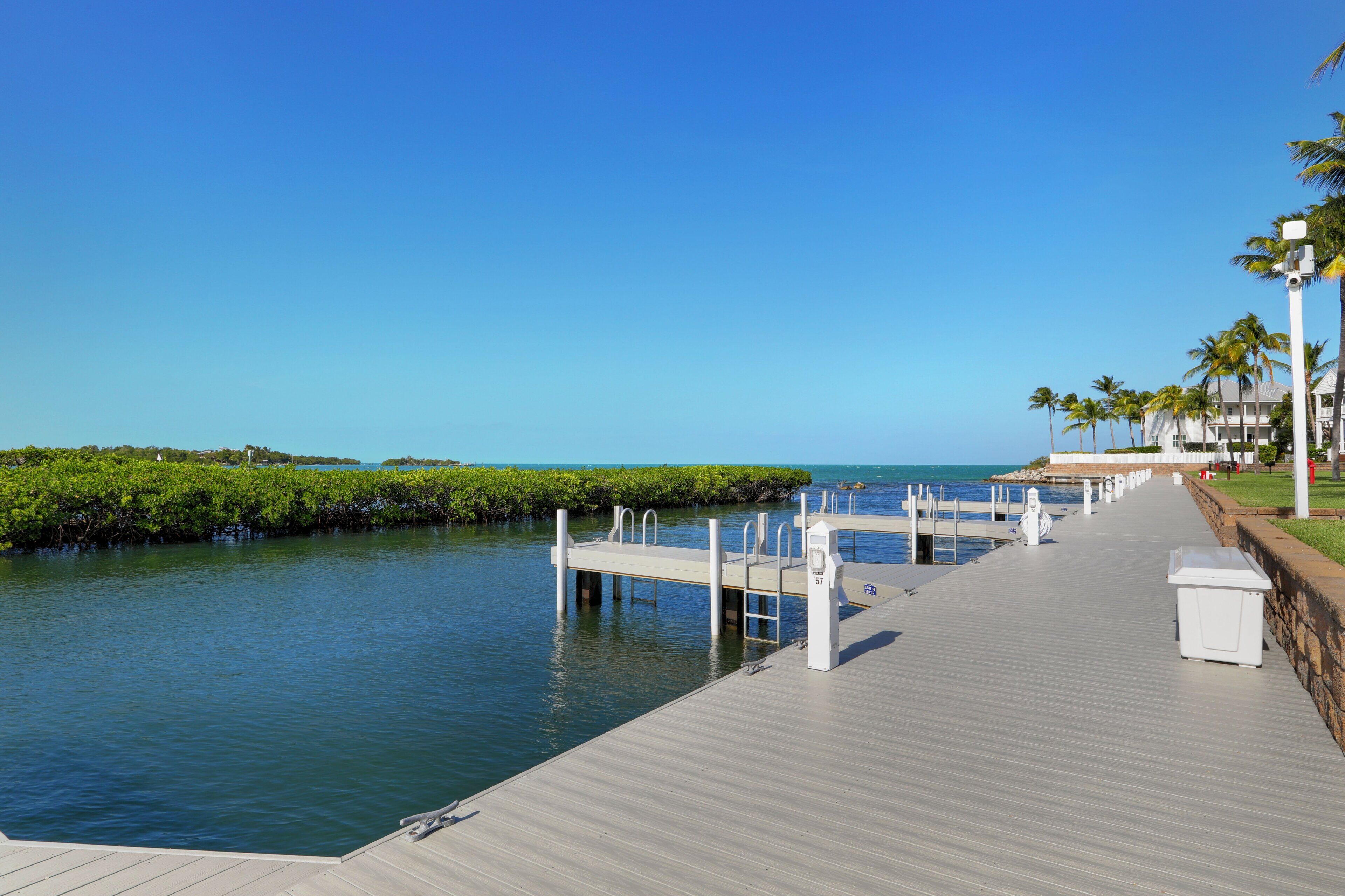 A wooden pier extending into calm waters, lined with palm trees and a clear sky.