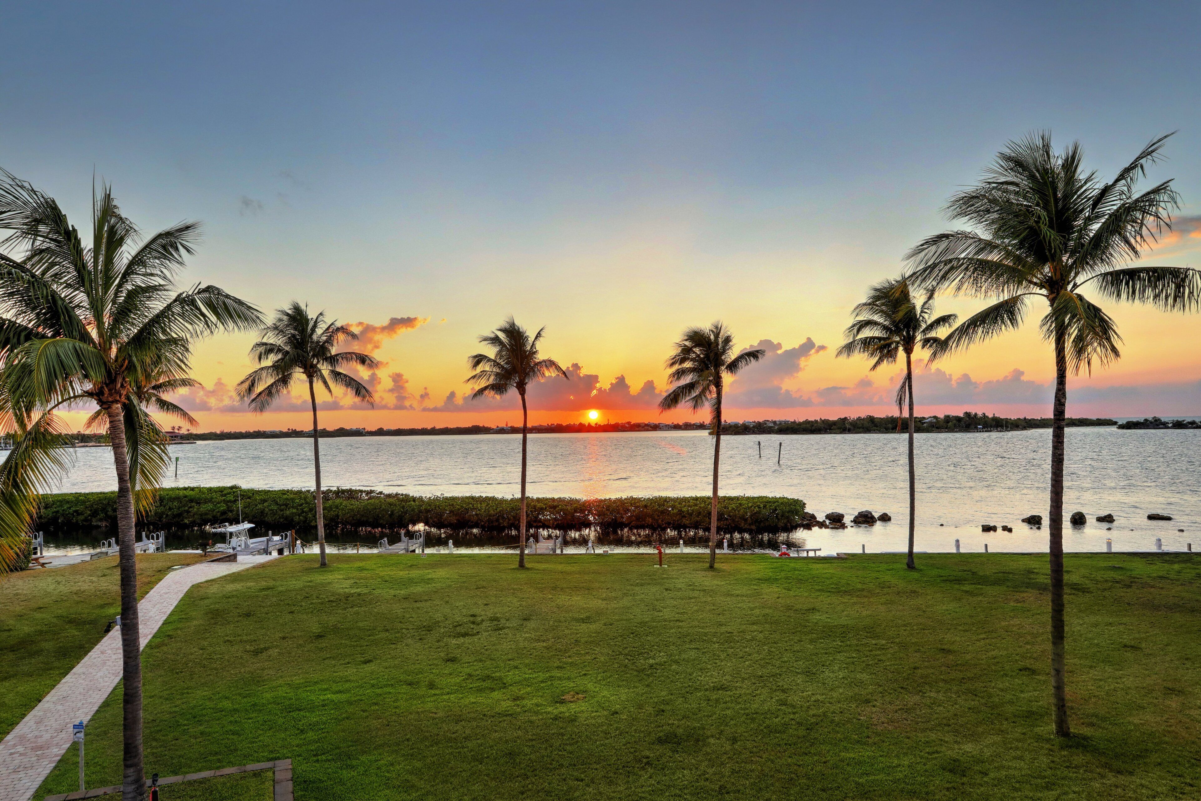 A grassy area with palm trees and a view of the sunset over water.