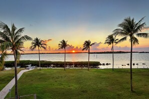 A grassy area with palm trees and a view of the sunset over water. - Waterfront Luxury Villa With Sunset Views and Boat Slip (Marathon)