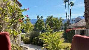 A garden with a pathway, palm trees, and a view of mountains. - Modern Life (Rancho Mirage)