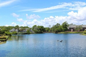 A lake with a bridge, surrounded by trees and buildings. - Windsor Court 11C (Myrtle Beach)