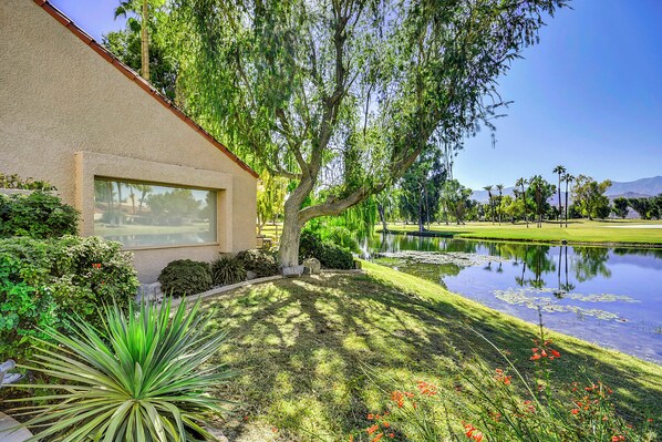 A building with a large window, a pond with lily pads, and a well-maintained garden with various plants.