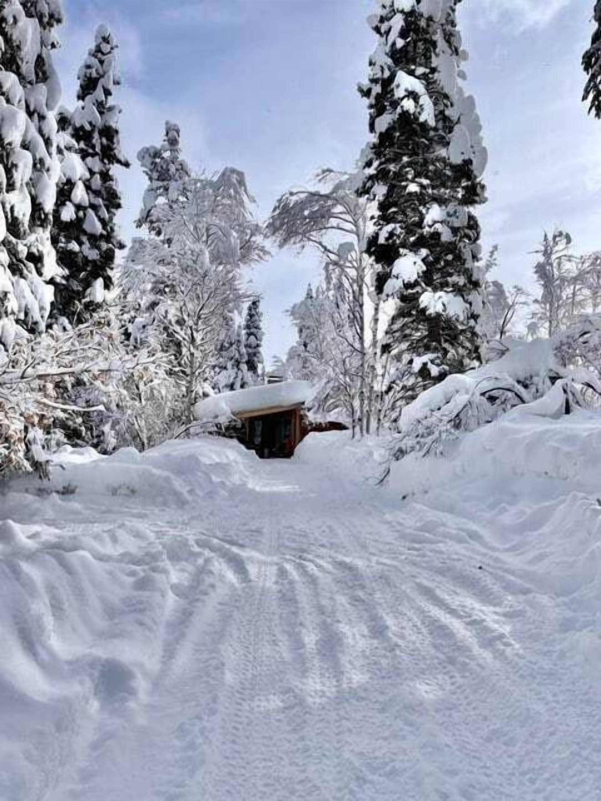 Chalet (1 Bedroom) | Interior