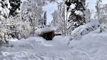 Chalet (1 Bedroom) | Interior